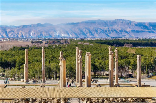 1775212119262101.png 5.png