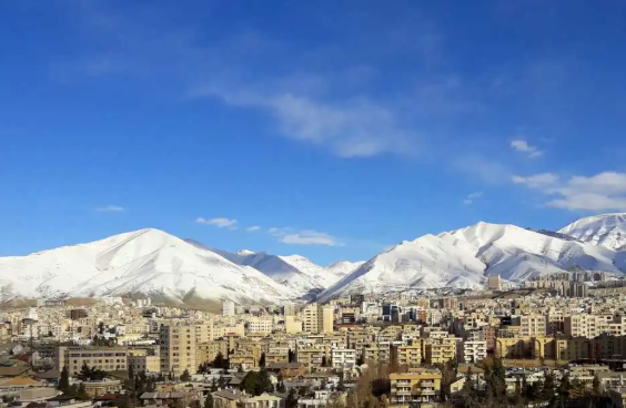 1775212127101562.png 6.png